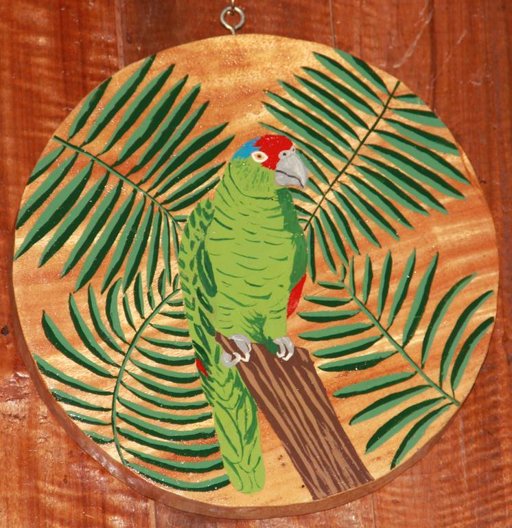 פונטה גורדה Sun Creek Lodge חדר תמונה